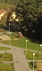 GoPro